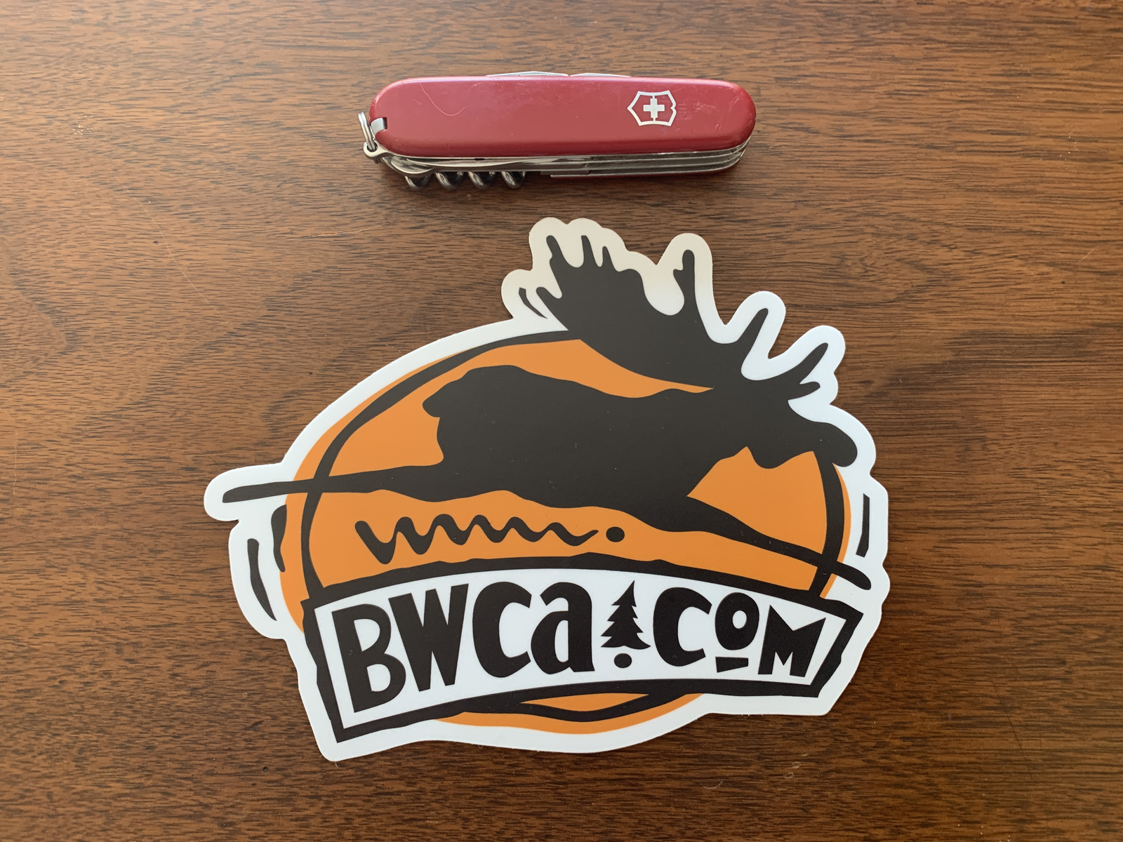 BWCA Flying Moose Canoe Decal
